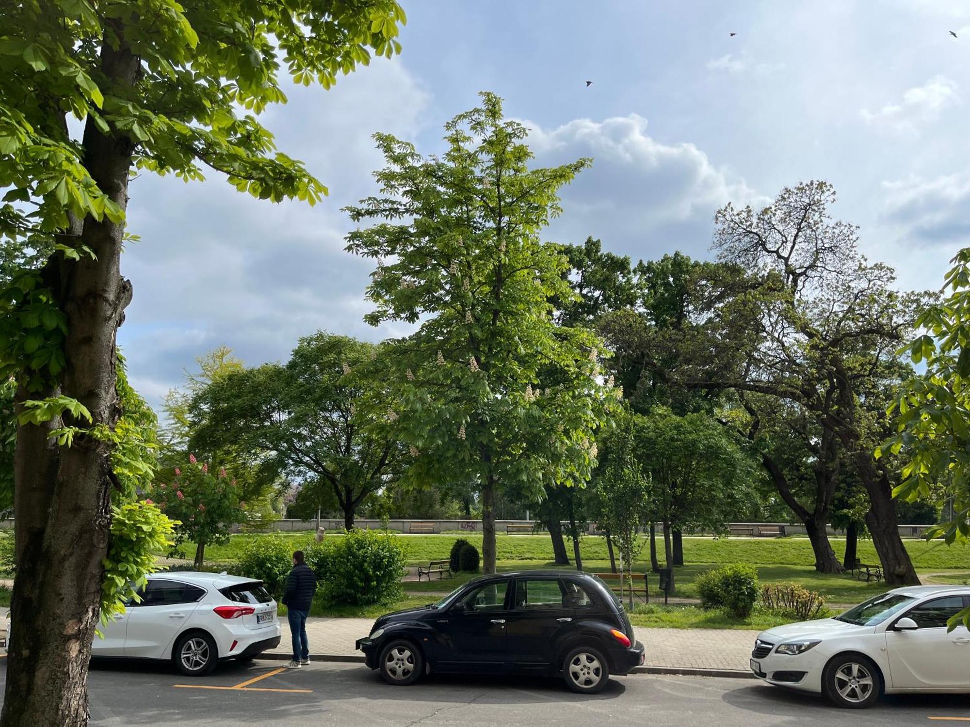 Panorama Leilighet Győr Eksteriør bilde